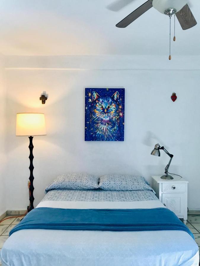 Hotel Posada Senor Manana San Jose del Cabo Luaran gambar